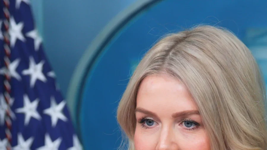 Leavitt: Trump Admin Looking at Greenland 'Purchase'