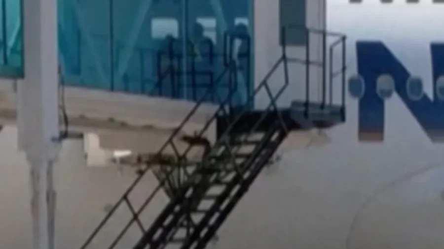 Flight With Deported Illegal Immigrants From the US Lands in Venezuela
