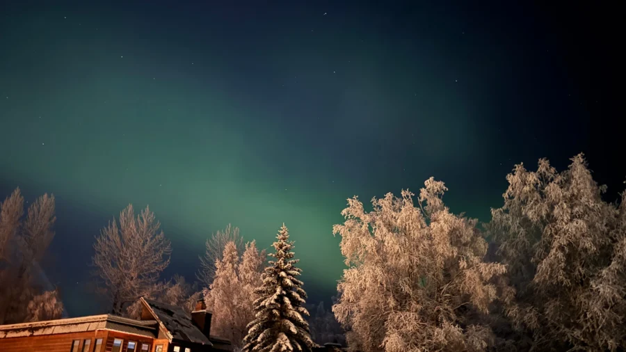 Sun Releases the Largest Solar Radiation Storm in Over 20 Years