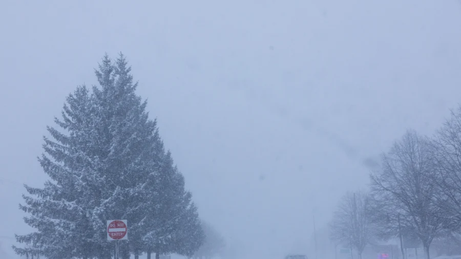 Millions Brace for Brutal Arctic Blast From Texas to the Carolinas