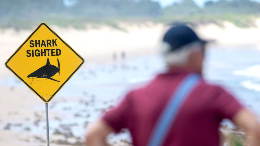Australia Shuts Dozens of Beaches After Shark Attacks