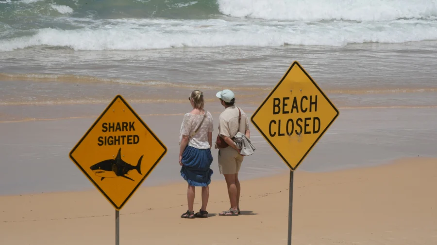 12-Year-Old Boy Dies After Sydney Harbor Shark Attack