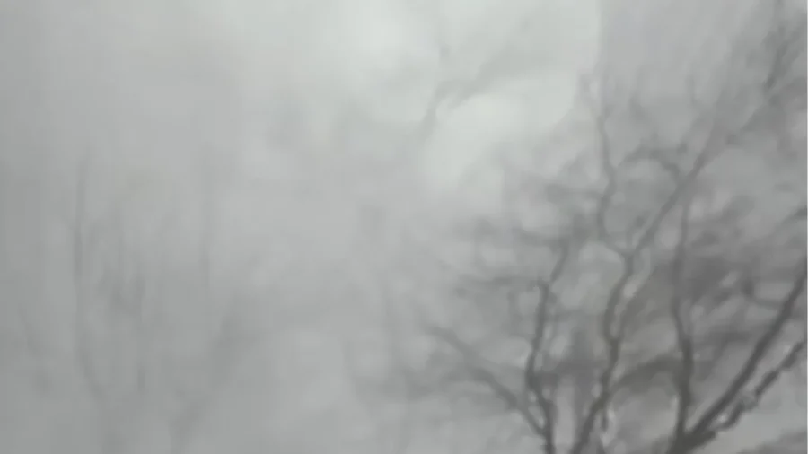 Winter Storm Grips Much of US in Snow, Ice, Arctic Cold
