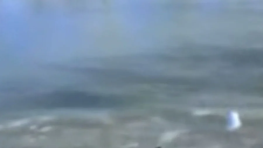 Firefighters Rescue Trapped Dog From Icy Waters in Missouri