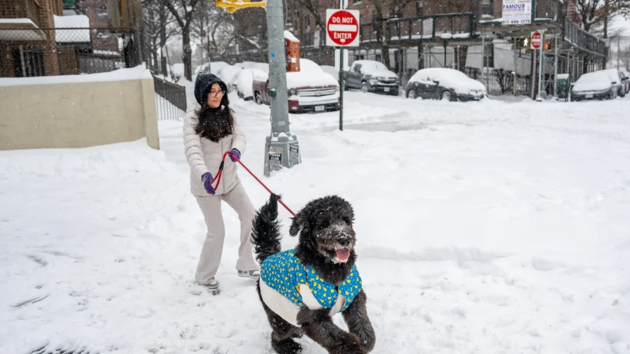 New York City Recovering From Snow Storm