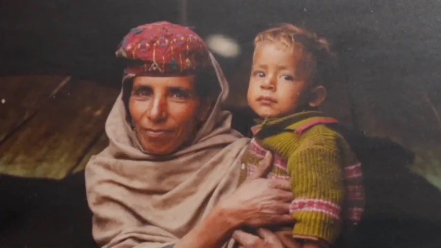 NTD Photography Competition Highlights Themes of Beauty, Kindness, Nature