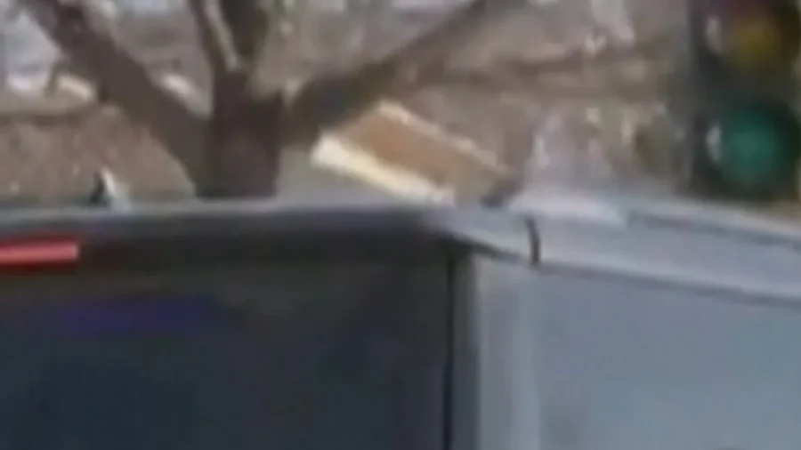 Video Appears to Show Alex Pretti in Scuffle With Federal Officers in Minneapolis 11 Days Before His Death