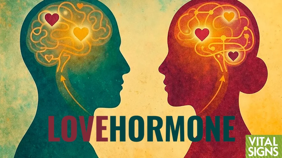 Why Men and Women Need Each Other—Biochemistry of Love