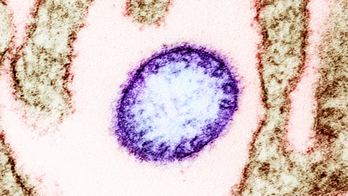 Read a full version of this article without ads!