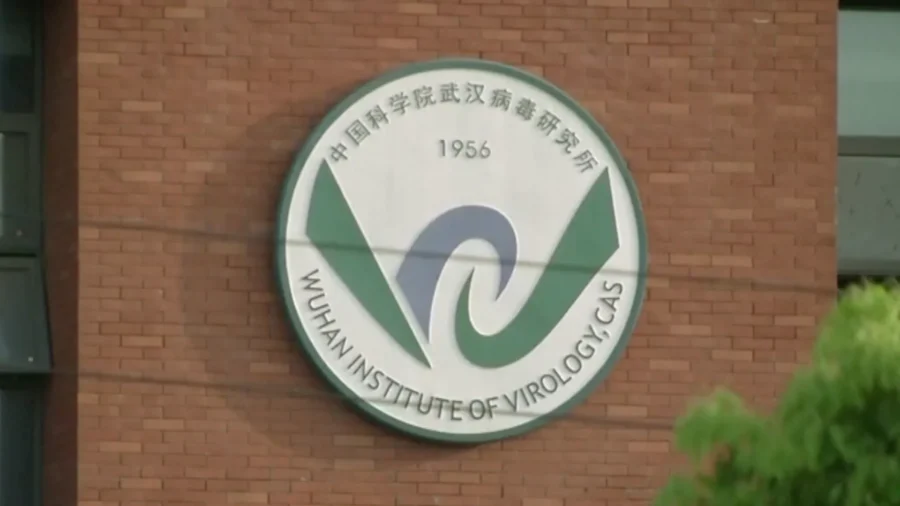 Read a full version of this article without ads!