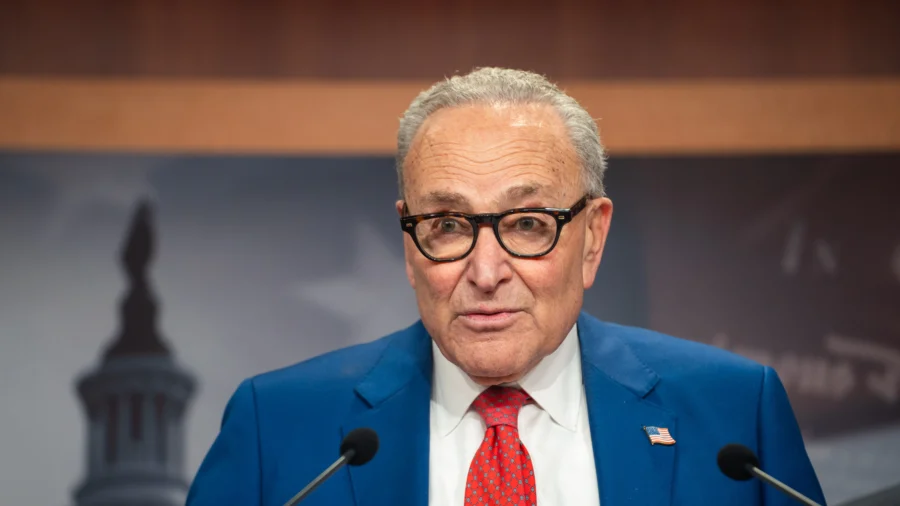 House and Senate Democrats 'United' on Dramatic ICE Reform as 2-Week Funding