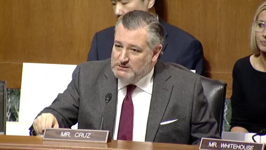 Senate Committee Hears Testimony on Minnesota Fraud