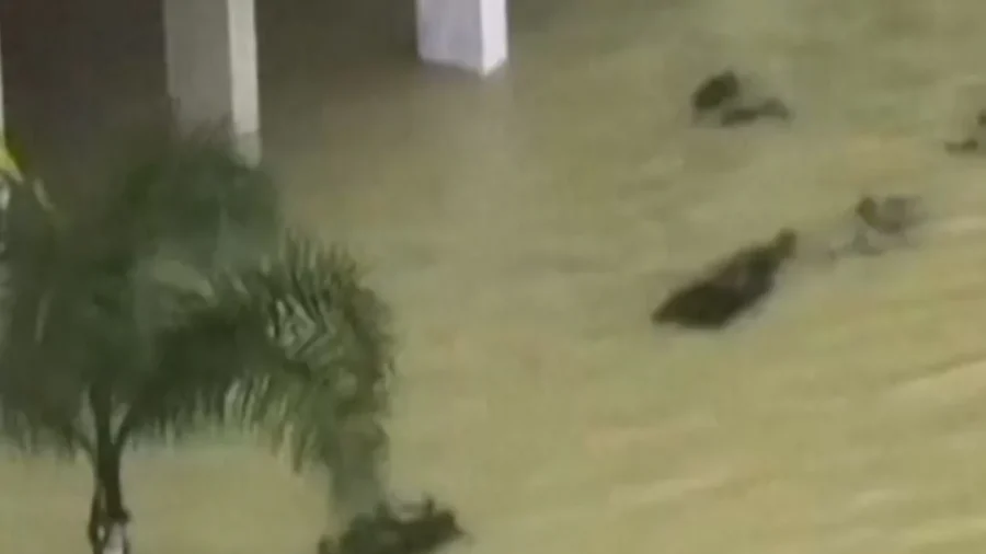 Flooding in Northwestern Morocco Forces Evacuation of Over 100,000