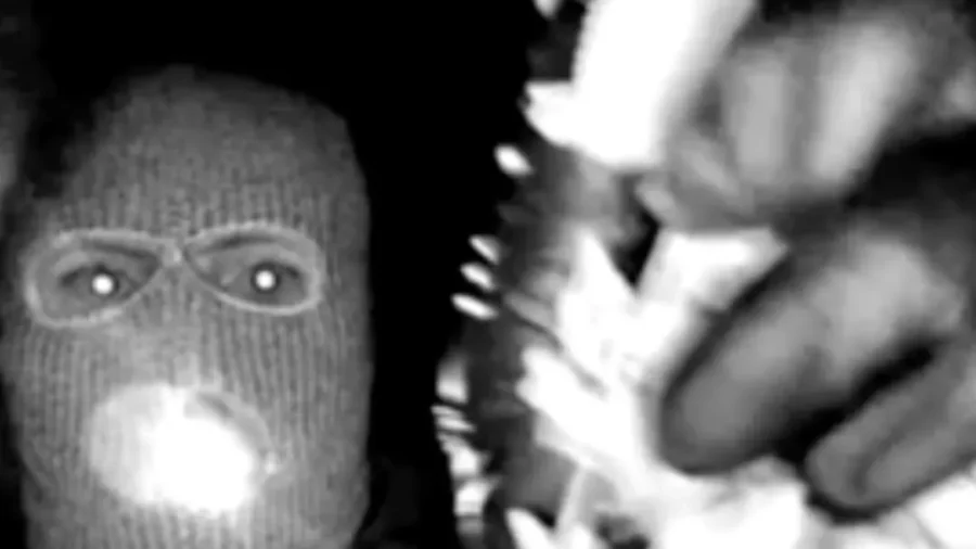FBI Shares Video of Potential Suspect in Nancy Guthrie Case