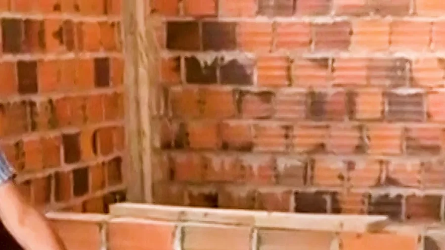 Peruvian Authorities Rescue Nearly 500 Parakeets From Smugglers