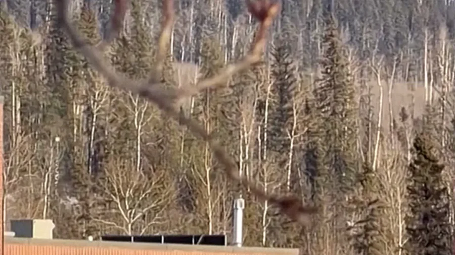 Video: Students Run From Canada School After Shooting