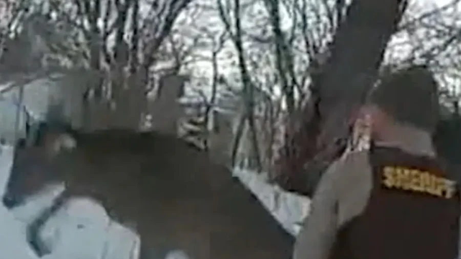 Minnesota Police Free Deer Tangled in Batting Cage Net