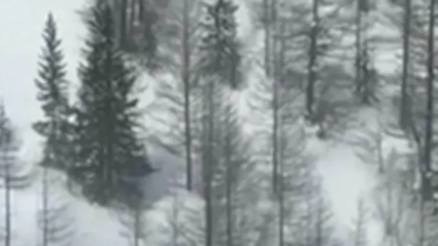 Avalanche Hits at Least 3 Skiers in Northwestern Italy, Killing 2