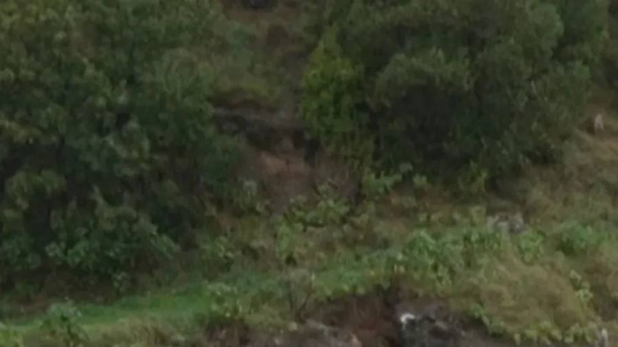 Heavy Rain Batters New Zealand’s South Island, Triggers Flood Warnings