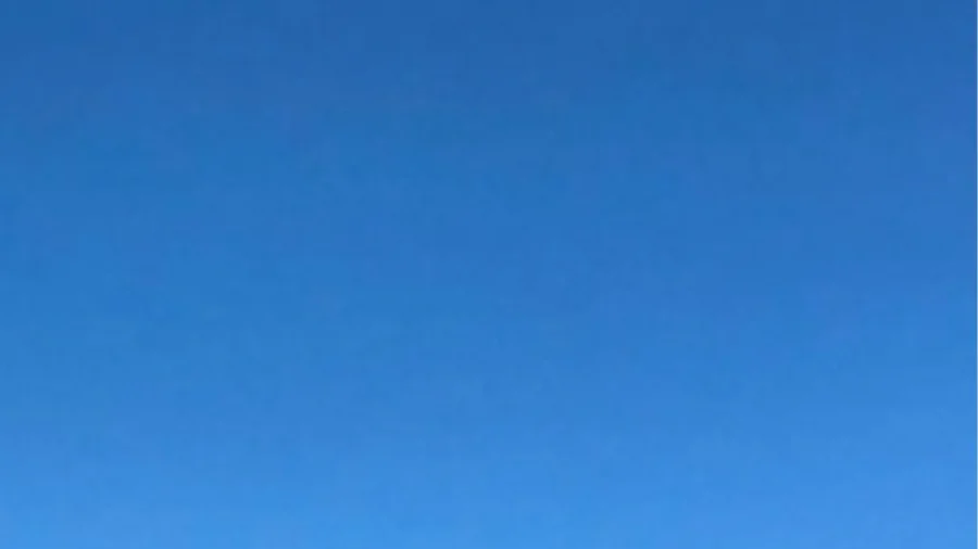 Video Shows People Escaping Cemetery in Iran as Activists Report Gunfire at Funeral