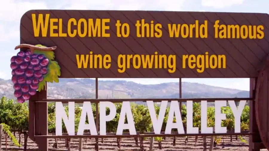 Wine Giant Downsizing as Alcohol Trends Down