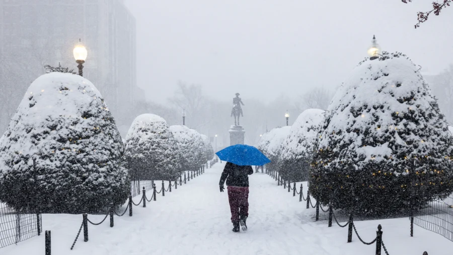Massachusetts Governor Healey Provides Winter Storm Update
