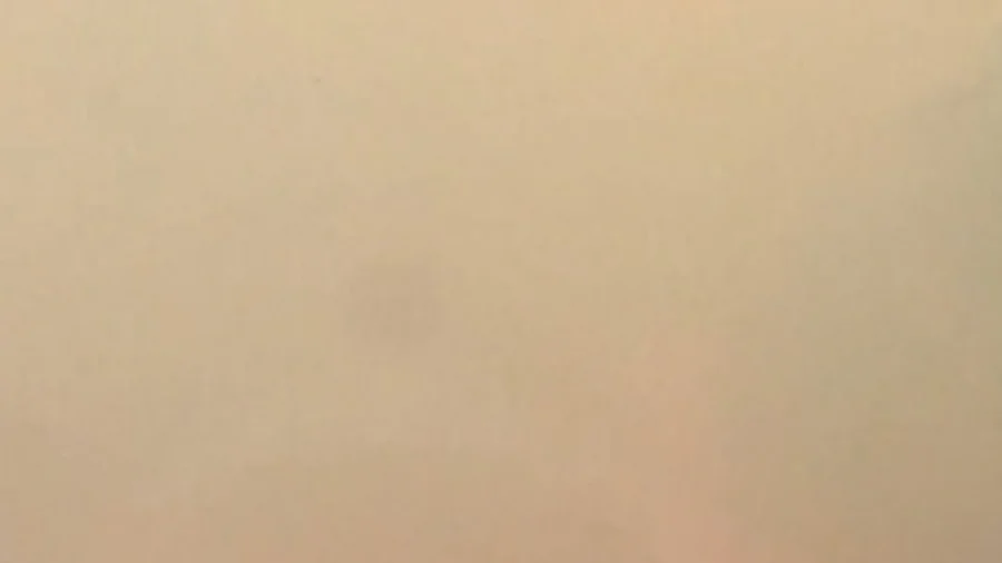 Wildfire Sends Thick Smoke, Trees Ablaze Near New Orleans Highway