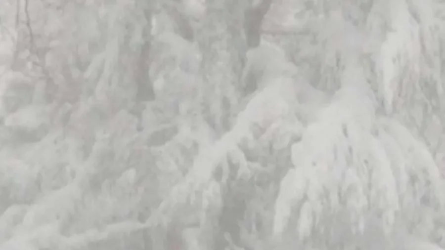 New Yorkers Relish Fresh, Deep Snow Despite Blizzard Warnings, Travel Bans