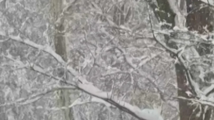 New Yorkers Ski Through Central Park After Heavy Snowfall