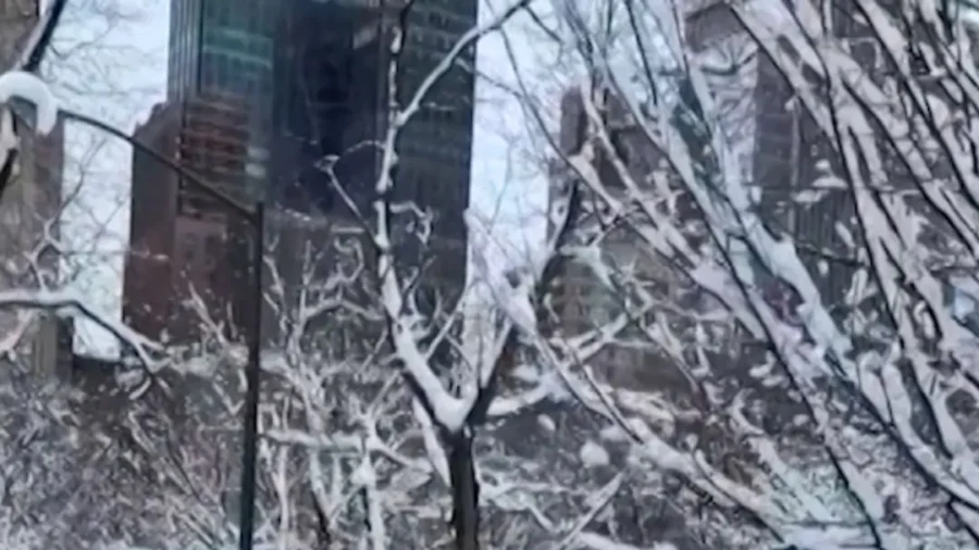 Video: Snowballs Target NYPD Vehicle in Central Park
