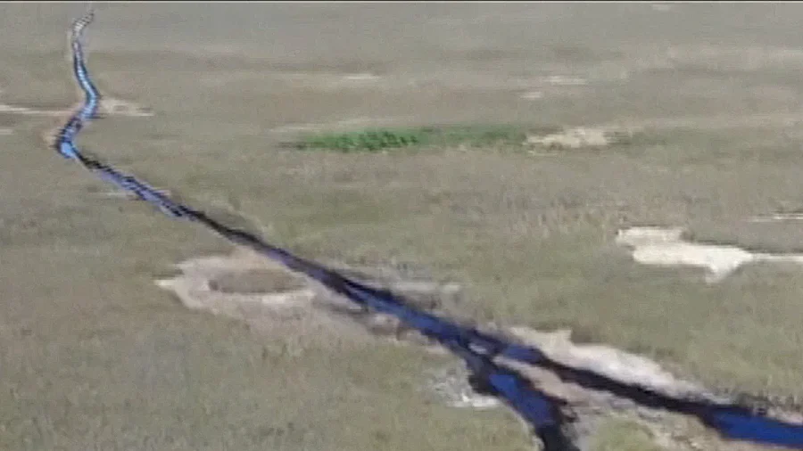 Drought Dries Up Everglades, Threatening Wildlife and Local Businesses