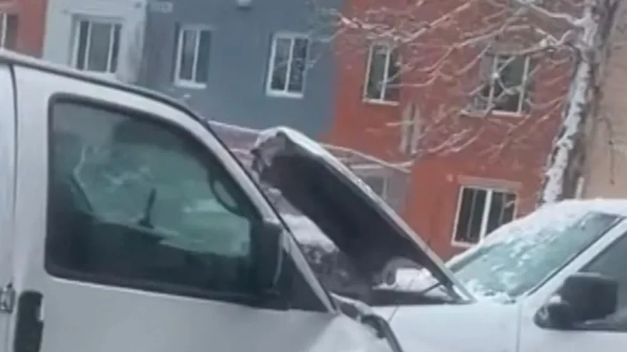 Driver Flees ICE Stop, Causing Multi‑Vehicle Crash, Several Injured