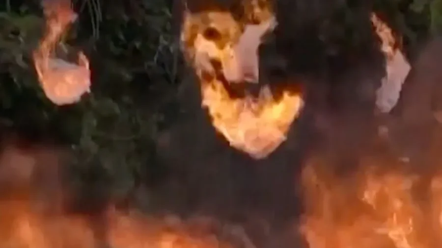 Dominican Republic Burns 2.8 Tons of Seized Drugs