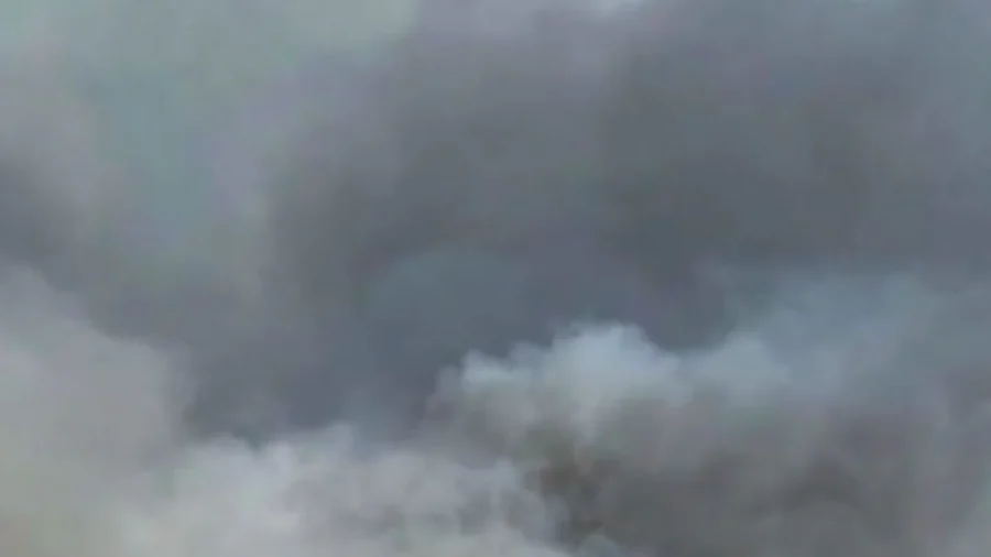 6,000 Hogs Killed in Catastrophic Ohio Farm Fire