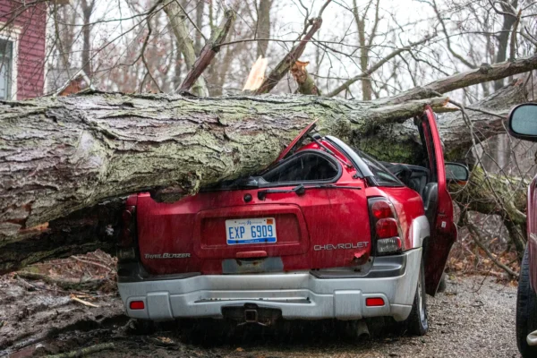 South, Midwest Brace for Further Severe Storms | NTD