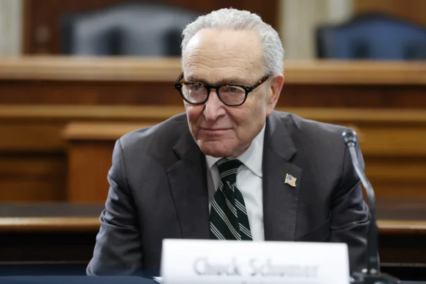 Senate Minority Leader Chuck Schumer (D-N.Y.) speaks to reporters after a roundtable on rising energy costs on Capitol Hill on March 17, 2026. (Anna Moneymaker/Getty Images)