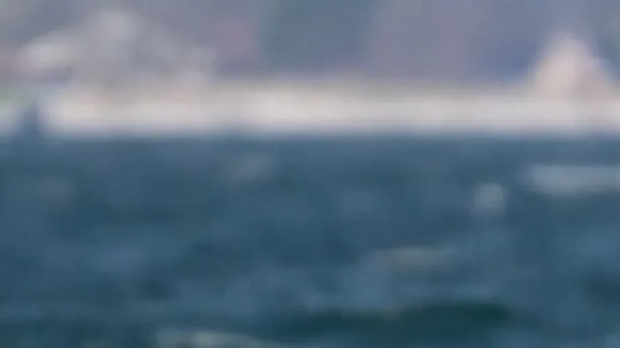 German Rescuers Dig Path in Baltic Sea to Free Stranded Humpback Whale