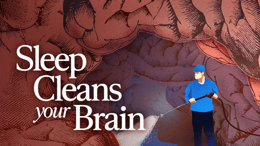 Your Brain Cleans Itself at Night—What Happens When You Don’t Sleep