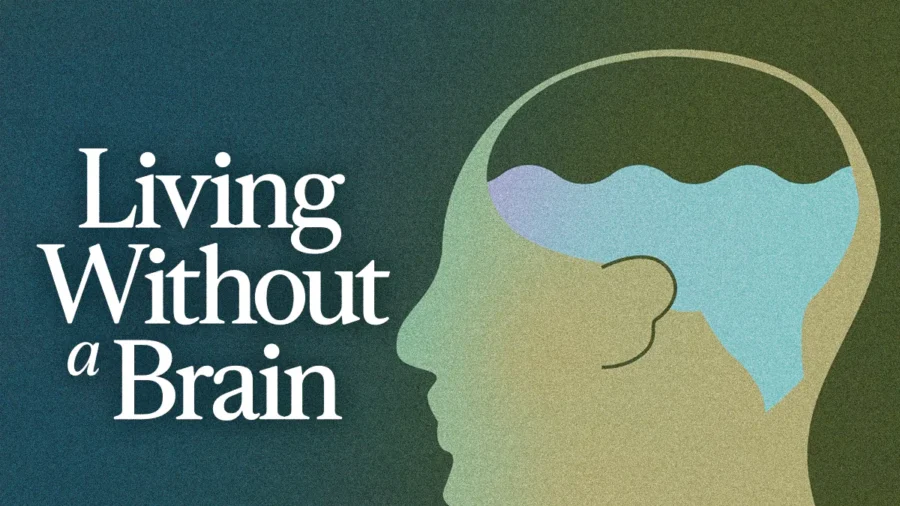 The Man Who Lived Without a Brain