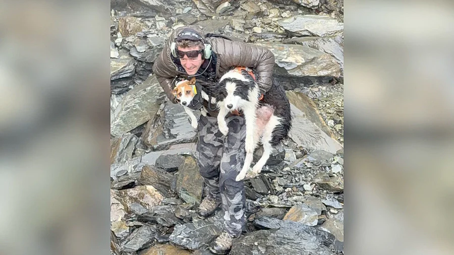 Molly the Border Collie Rescued by Helicopter After Owner’s Waterfall Plunge