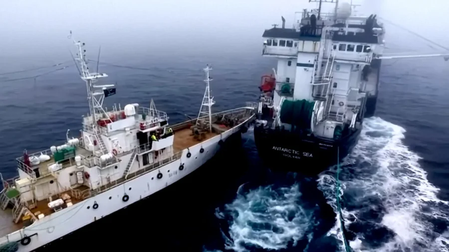 Activist Vessel Collides With Krill-Harvesting Ship Off Antarctica