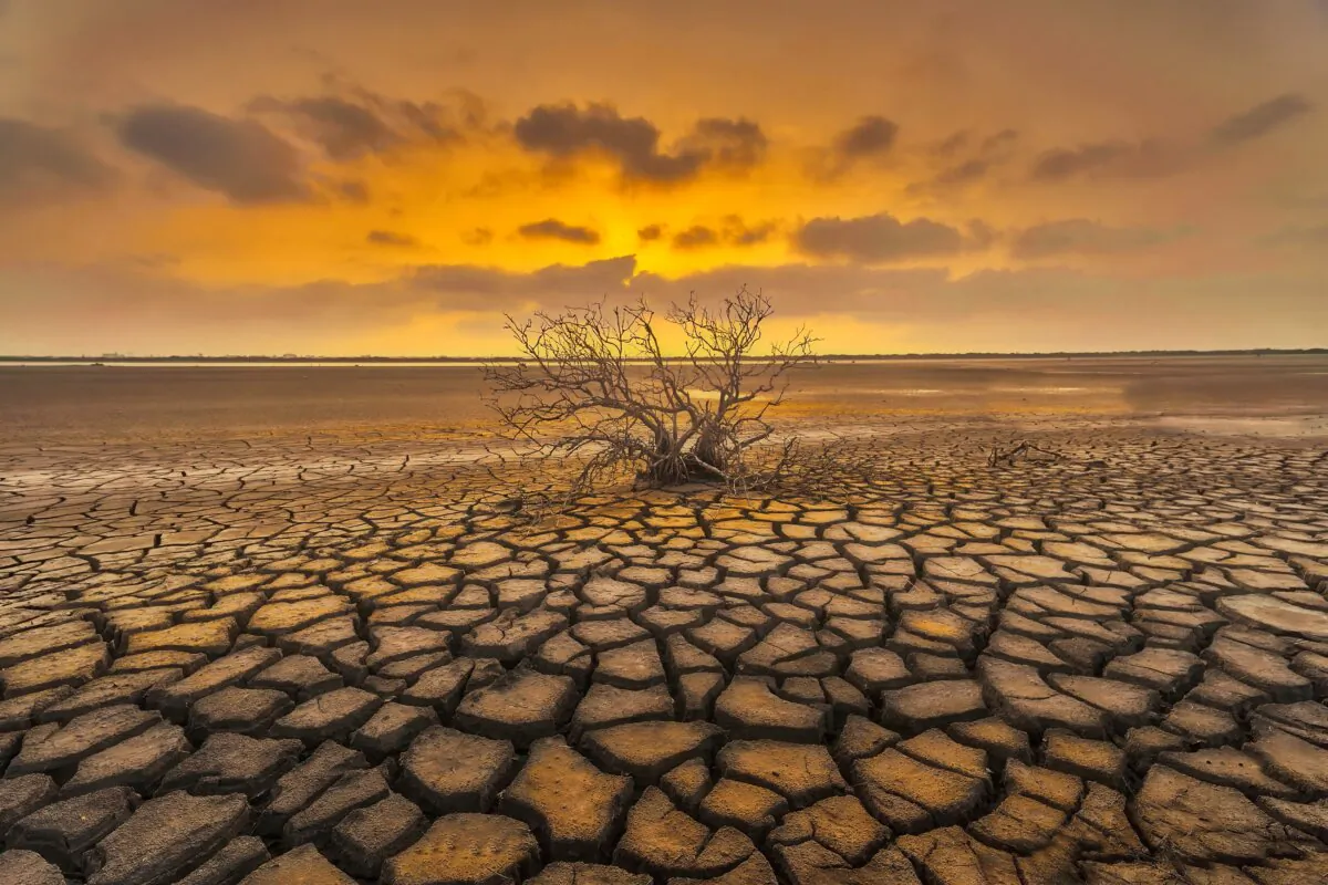 "Dead Trees on Dry Land" by Ming-Lun Tsai of Taiwan. Recipient of the Nature & Landscapes Silver Award at the Fifth NTD International Photography Competition. (Courtesy of the Fifth NTD International Photography Competition)