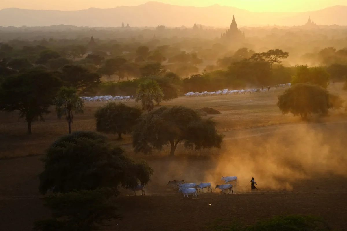 "Evening View of Bagan" by Kyaw Kyaw Winn of Burma (Myanmar). Recipient of the Nature & Landscapes Gold Award at the Fifth NTD International Photography Competition. (Courtesy of the Fifth NTD International Photography Competition)