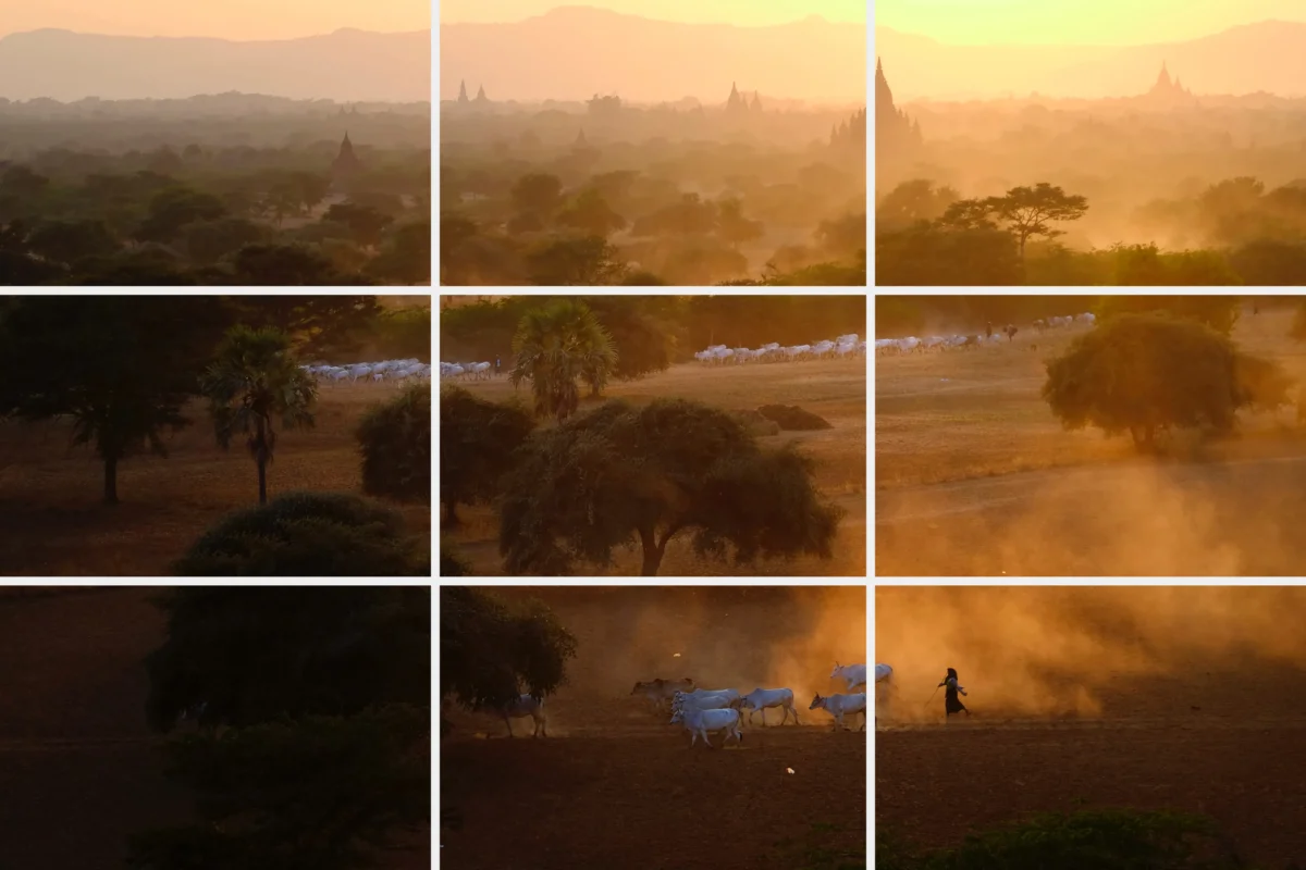 The Rule of Thirds Grid on top of "Evening View of Bagan" by Kyaw Kyaw Winn of Burma (Myanmar). (Courtesy of the Fifth NTD International Photography Competition)