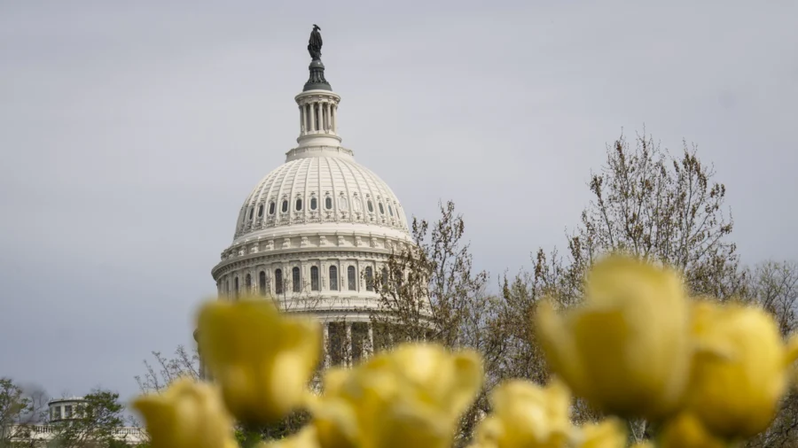 House Subcommittee Holds Hearing on Fraud Prevention in Federally Funded Programs