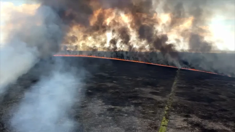 Fast-Moving Everglades Fire Burns Thousands of Acres in South Florida