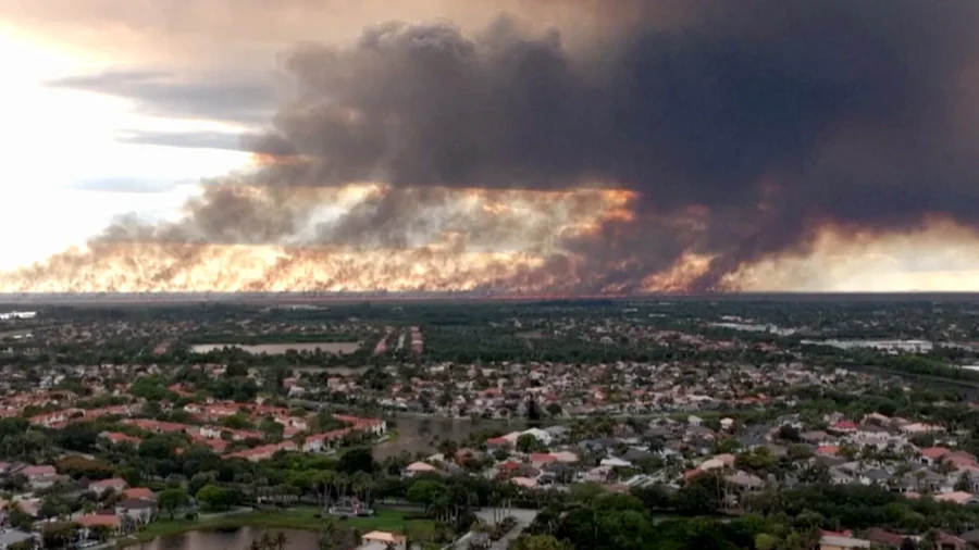 Wildfire Burns More Than 11,000 Acres in Florida Everglades