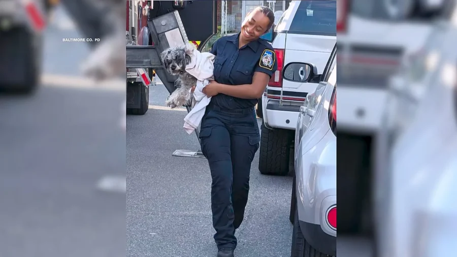 Baltimore Police Officer Rescues Dog Stuck on a Roof