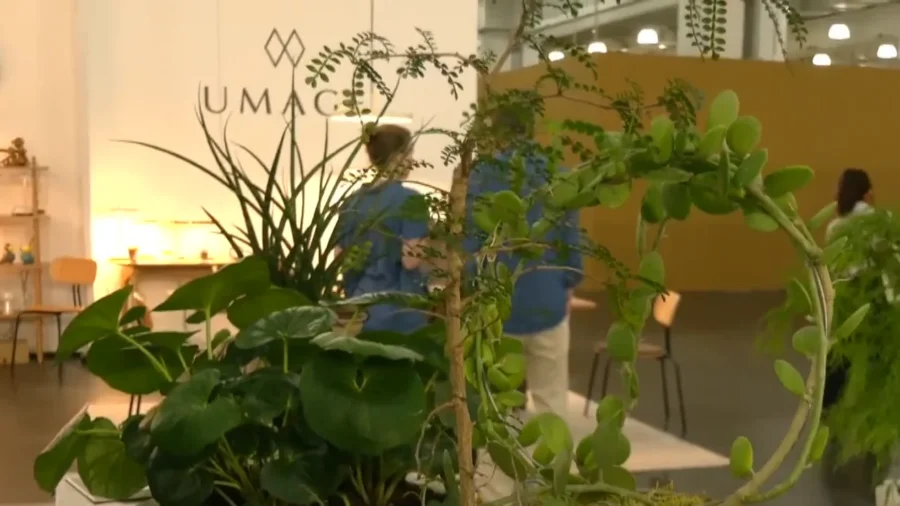 Furniture Fair 2026: When Nature Goes Indoors