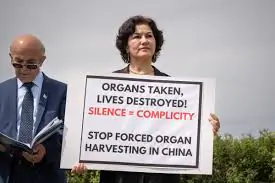China’s Own Records Expose Forced Organ Harvesting: Human Rights Lawyer